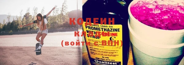 индика Каменногорск