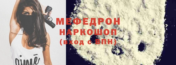 индика Каменногорск