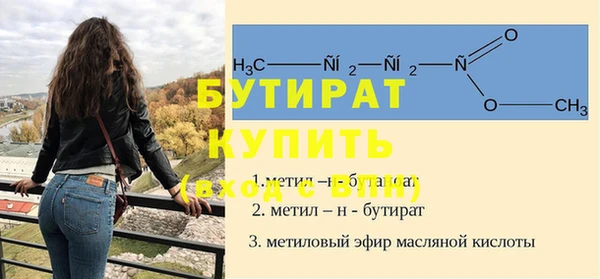 индика Каменногорск