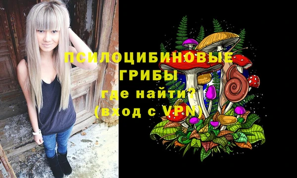 COCAINE Каменка