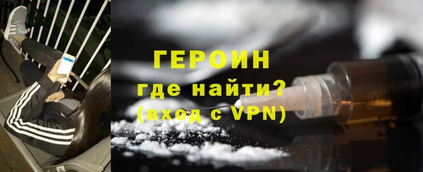 индика Каменногорск