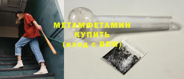 индика Каменногорск