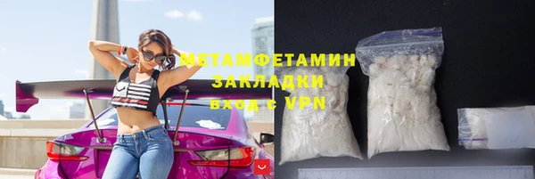 индика Каменногорск