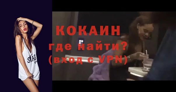 индика Каменногорск