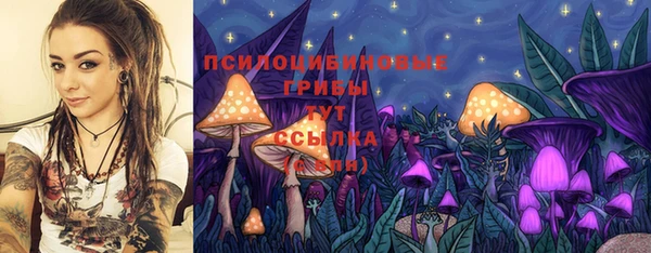 мет Каменск-Шахтинский