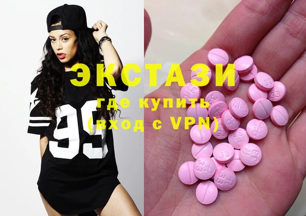 индика Каменногорск