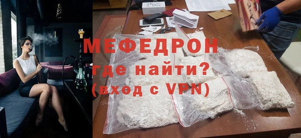 индика Каменногорск
