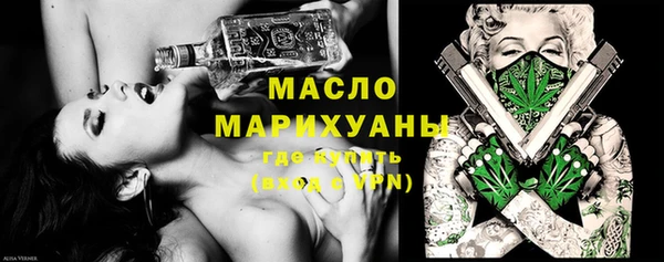 индика Каменногорск