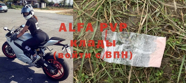 индика Каменногорск