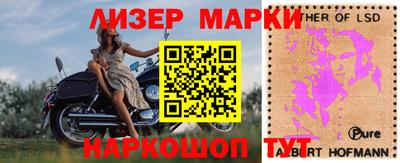 сатива Будённовск