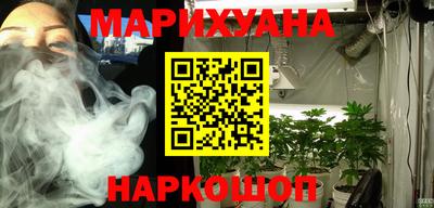 сатива Будённовск