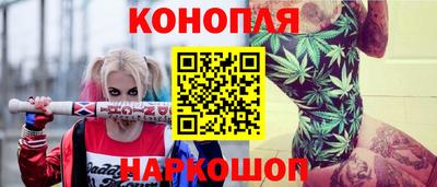 мяу мяу мука Гай