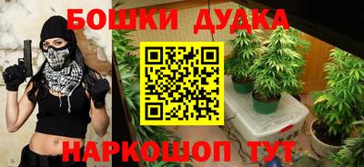 сатива Будённовск