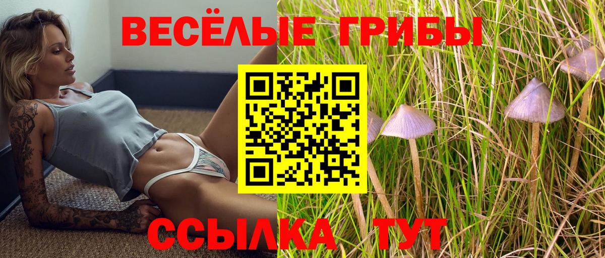 Каменск-Уральский  Псилоцибиновые грибы прущие грибы  Галлюциногенные грибы прущие грибы  Вход с VPN 