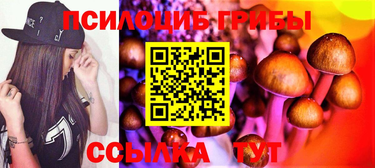 Галлюциногенные грибы мухоморы Каменск-Уральский