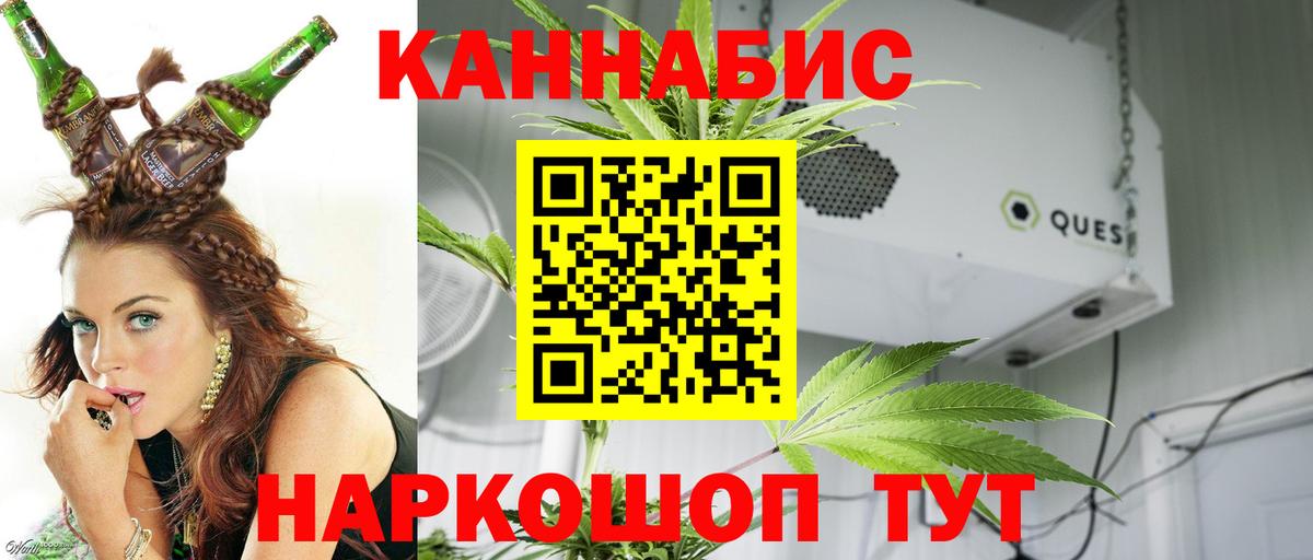 Каннабис план  Каменск-Уральский  Конопля Ganja  Бошки Шишки ГИДРОПОН 
